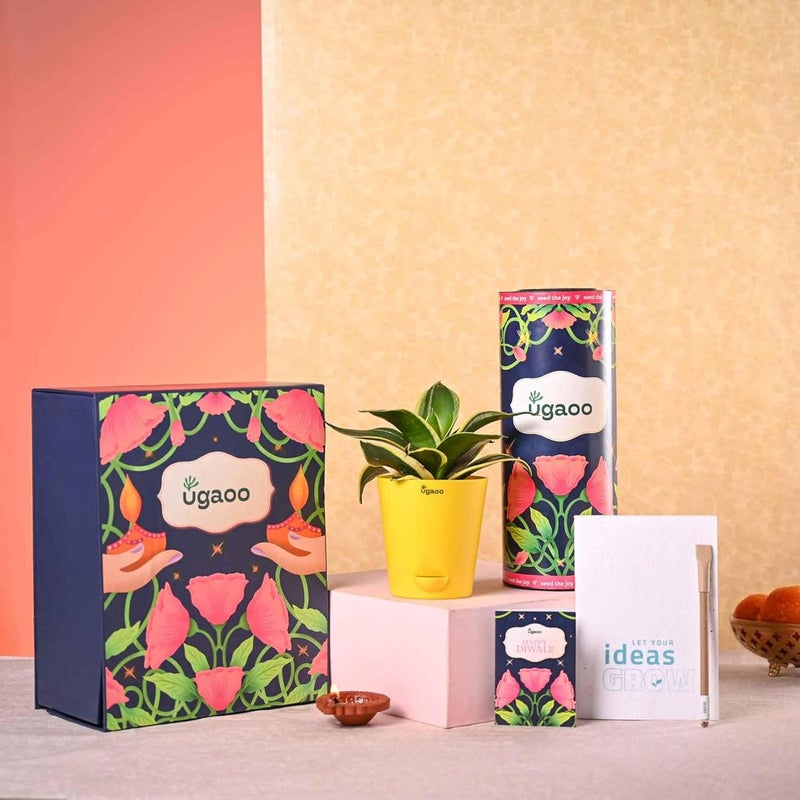 UGAOO Diwali Gift Hamper with Snake Plant Plantable Diary and Pen Gifts that Grow