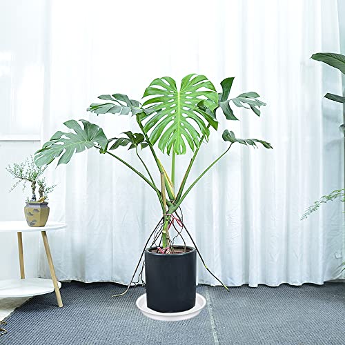 Bleuhome 4 Pack of 16 inch Plant Saucer White, Bird Bath Bowls, Heavy Duty Plastic Plant Saucer Round White - Image 2