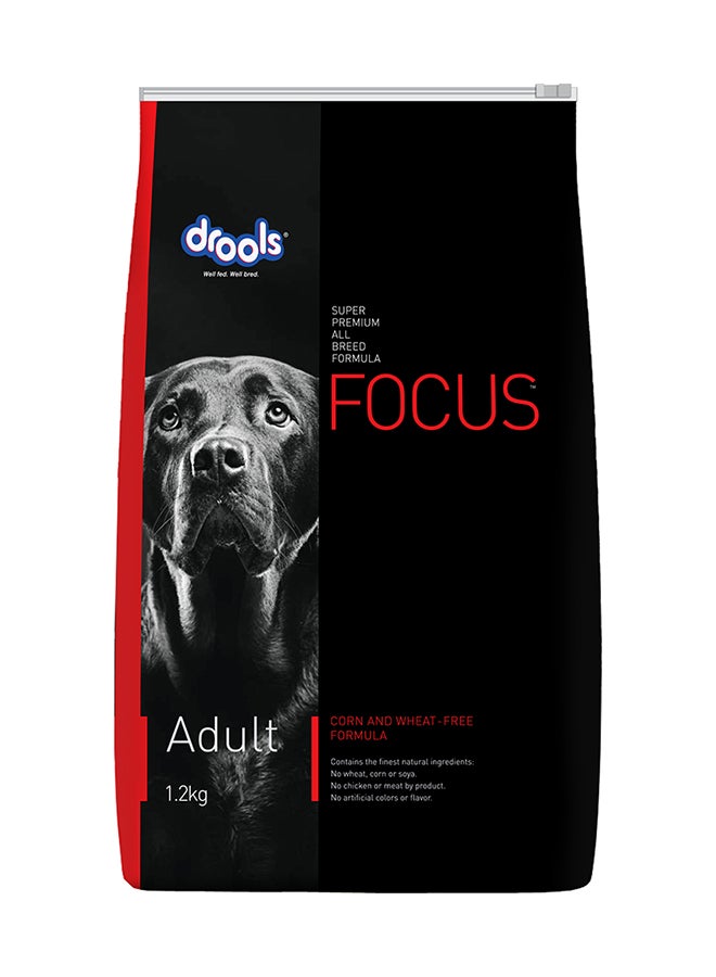 Drools طعام جاف للكلاب البالغة فوكوس بريميوم دجاج - Image 1