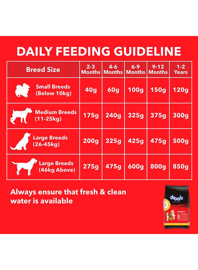 Drools طعام جاف للكلاب البالغة فوكوس بريميوم دجاج - Image 5