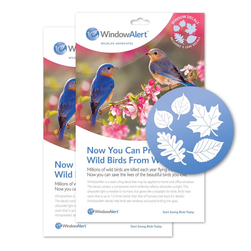 WINDOWALERT WindowAlert Leaf Medley AntiCollision Decal  UVReflective Window Decal to Protect Wild Birds from Glass Collisions 2Pack  Made in The USA 
