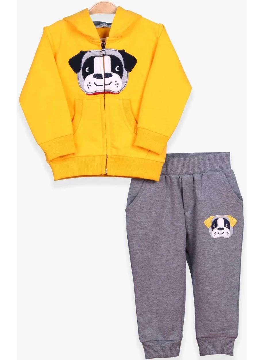Breeze Boy's Tracksuit with Dog Embroidery, 1-4 Years, Yellow