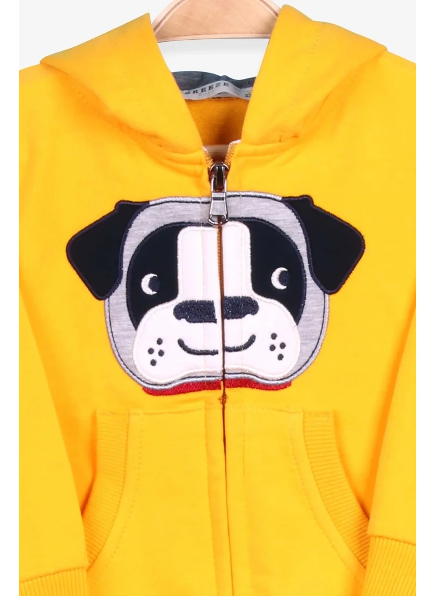 Breeze Boy's Tracksuit with Dog Embroidery, 1-4 Years, Yellow