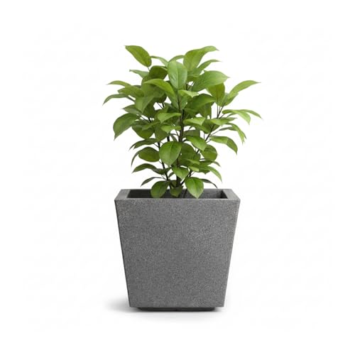 BonKaso 10 Inch Planter Pot (25x25x22 cm) | Light Grey, Tall & Lightweight Polymer Flower Pot | Durable Gamla for Indoor & Outdoor Plants – Home, Office, Garden, Balcony - Image 5