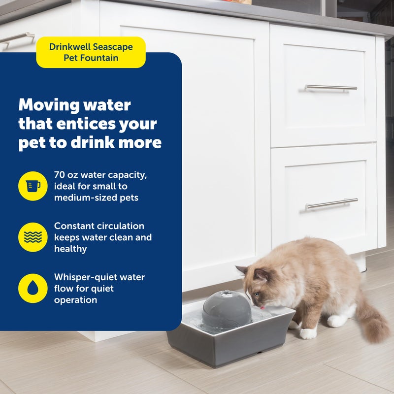 PetSafe نافورة مياه للحيوانات الأليفة من بيت سيف - موزع تلقائي هادئ بسعة 70 أونصة للقطط والكلاب مع فلاتر - تصميم مربع آمن في غسالة الصحون - Image 2