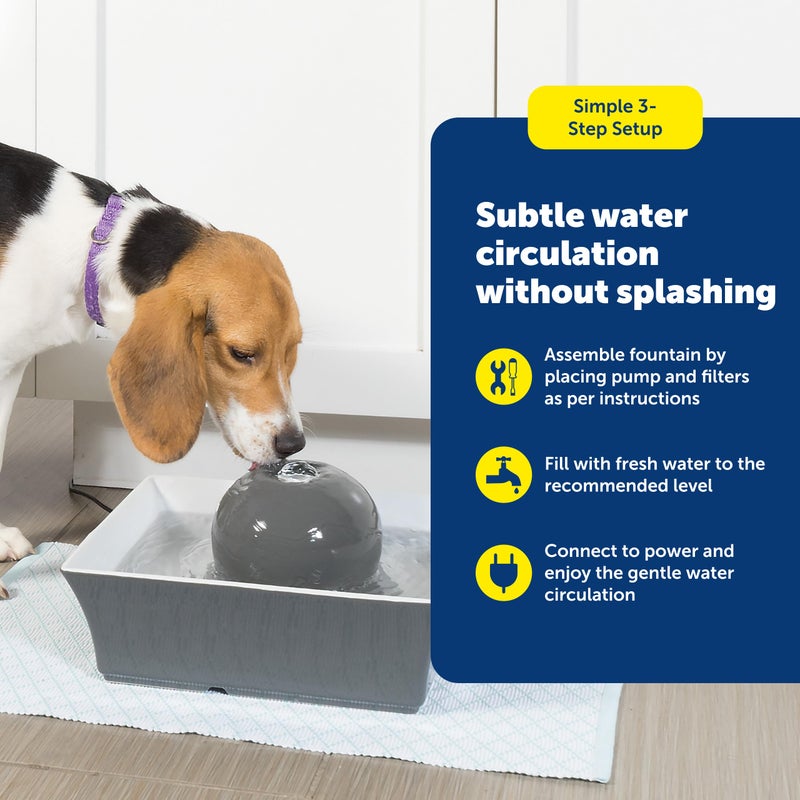 PetSafe نافورة مياه للحيوانات الأليفة من بيت سيف - موزع تلقائي هادئ بسعة 70 أونصة للقطط والكلاب مع فلاتر - تصميم مربع آمن في غسالة الصحون - Image 5
