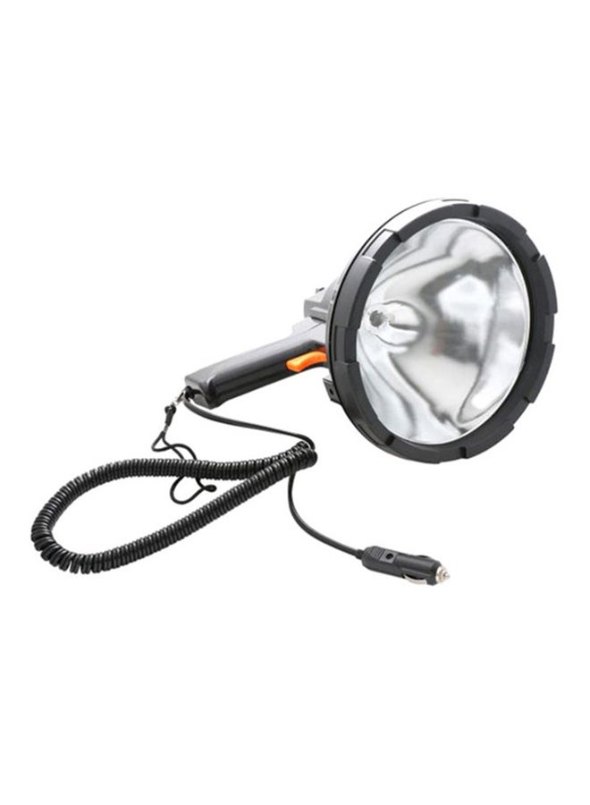 Loquat Car Camping Spotlight