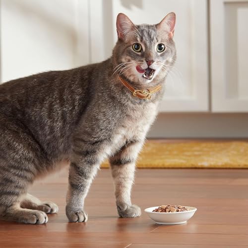 Meow Mix Poultry Selections Wet Cat Food, Variety Pack, 2.75 Ounce Cup (Pack of 24) - Image 2
