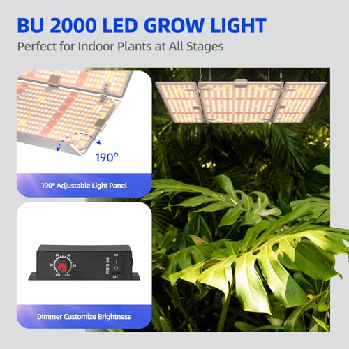 Barrina 4x4 Grow Lights for Indoor Plants Full Spectrum, BU2000 Dimmable, Adjustable LED Grow Light Panel, 816 LEDs, High PPFD, Plant Lights for Indoor Growing, Seedling, Flowering and Fruiting - Image 2