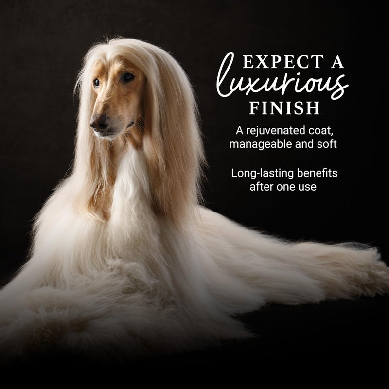 iGroom Deshedding & Detangling Dog Conditioner, Luxury Pet Beauty Care, Loosen Tangles + Unwanted Undercoat, Adds Shine + Volume, Made in USA (16 OZ) - Image 5