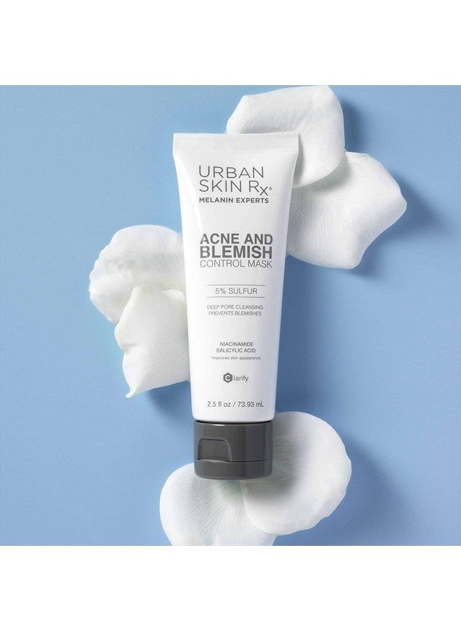 Acne and Blemish Control Mask | Dual-action Mask Fights Acne & Prevents Future Breakouts. Formulated with Sulfur, Salicylic Acid and Niacinamide | 2.5 Oz