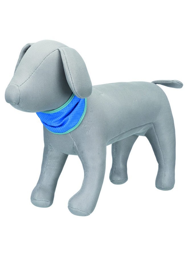 تريكسي وشاح تبريد للكلاب | تقنية نسيج فريدة تعمل على تبريد حيوانك الأليف على الفور | مثالي للاستخدام في الأماكن المغلقة والمشي والجري واللعب وتسلق الجبال والسفر - مقاس صغير 20-30 سم - Image 2