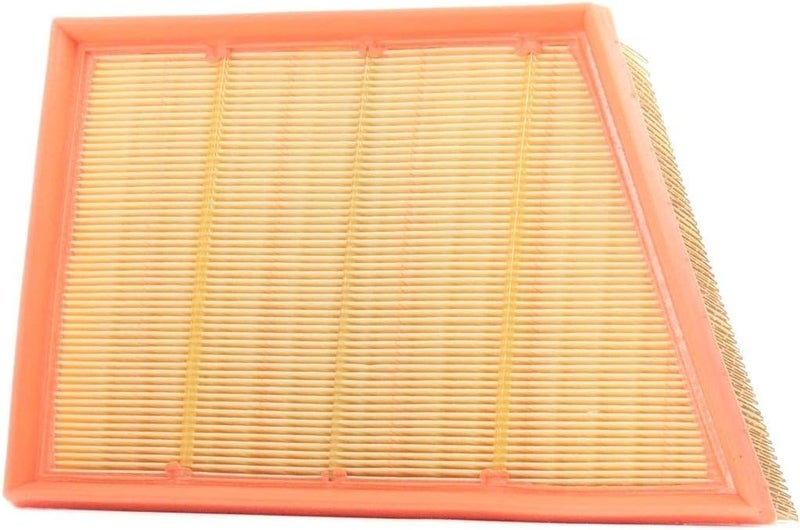 MANN FILTER MANN-FILTER Mann Filter (C29006) Air Filter Element - Image 1
