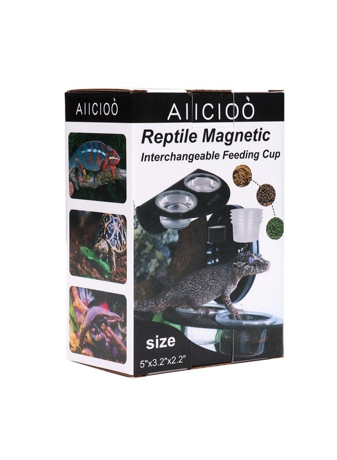 Aiicioo Gecko Feeder Ledge With 6 Pack Plastic Bowls Strong Magnetic Reptile Food Feeder Water Dish  - Image 4