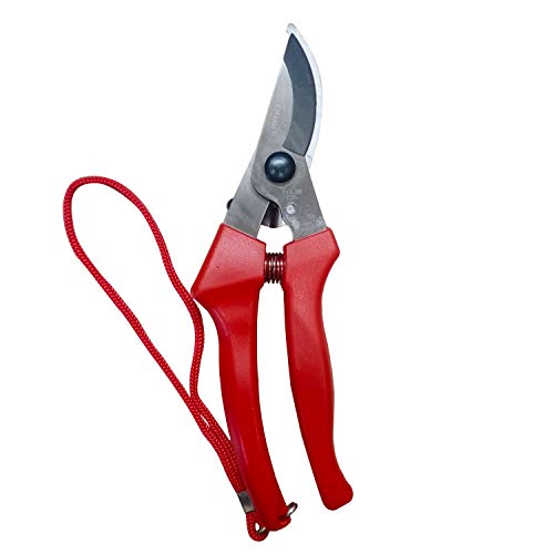 Mario Scissors for Gardening/Purnning Work - 8.26 inch / 210 mm - Strong Cutting Scissors, Safe to Handel - Premium Stainless Steel Blade Scissors - MGS 700 - Image 1