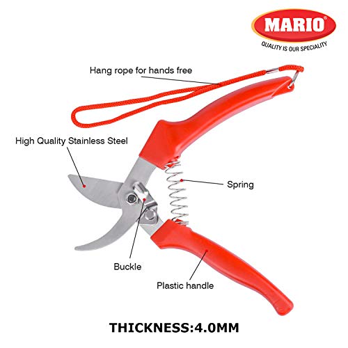 Mario Scissors for Gardening/Purnning Work - 8.26 inch / 210 mm - Strong Cutting Scissors, Safe to Handel - Premium Stainless Steel Blade Scissors - MGS 700 - Image 3