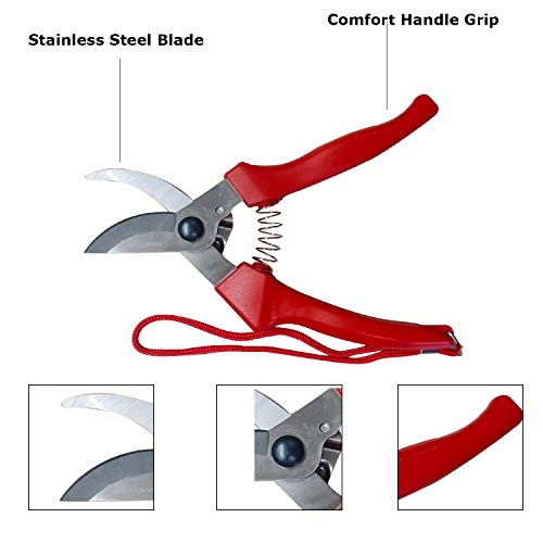 Mario Scissors for Gardening/Purnning Work - 8.26 inch / 210 mm - Strong Cutting Scissors, Safe to Handel - Premium Stainless Steel Blade Scissors - MGS 700 - Image 4