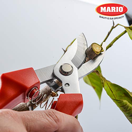 Mario Scissors for Gardening/Purnning Work - 8.26 inch / 210 mm - Strong Cutting Scissors, Safe to Handel - Premium Stainless Steel Blade Scissors - MGS 700 - Image 2