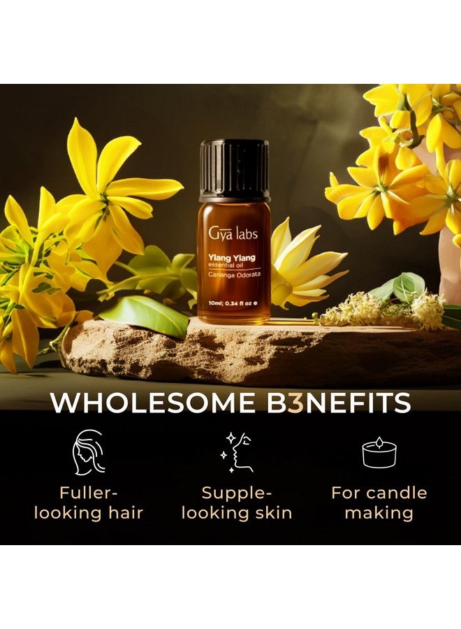 gya labs Gya Labs Ylang-Ylang Essential Oil for Diffuser - Natural Ylang Ylang Essential Oil for Skin - Ylang Ylang Oil for Hair Health Face Aromatherapy & Candle Making Scent (0.34 fl oz) - Image 5