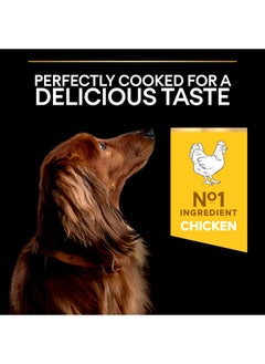 PURINA Pro Plan Small And Mini Adult Dog Food Chicken - 3 Kg  - Image 3