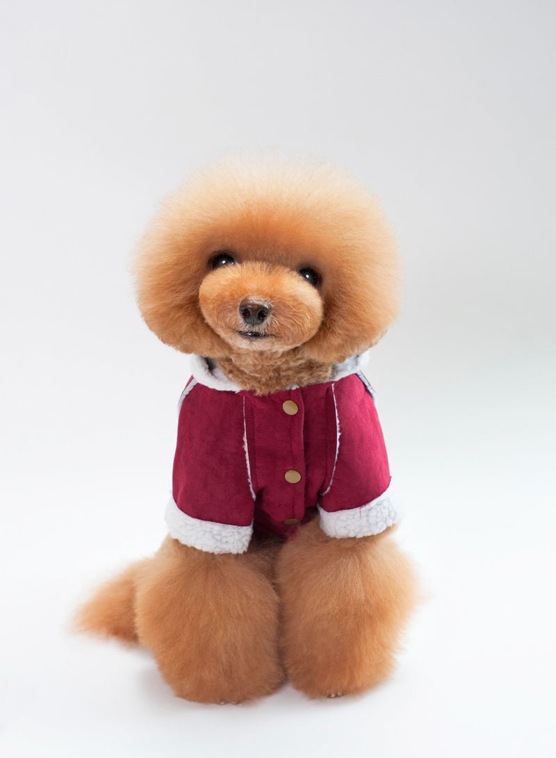 A pet dog wears a coat and a hat Red - Image 1