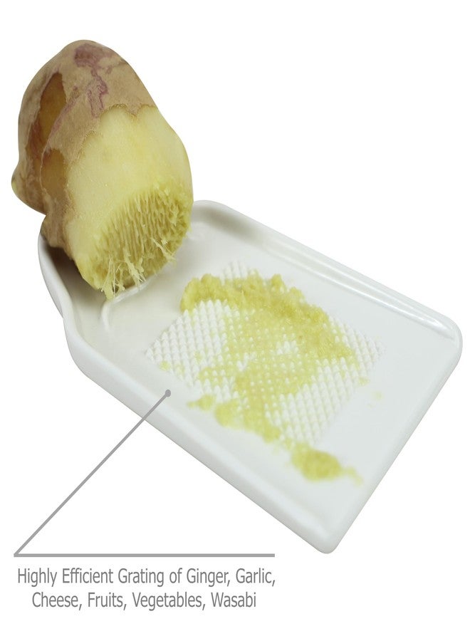 EIKS Porcelain Grater Plate for Grinding Wasabi Ginger Cheese Lemon Chocolate, Kitchen Cooking Food Preparation Tool - Image 3