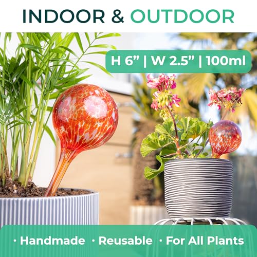 Reifier 6-Pack Plant Watering Globes - Self Watering Bulbs for Indoor & Outdoor Plants - Hand-Blown & Colorful Water Globes - Aqua Globes for Plants - Measures 6" L x 2.5" D - Image 2