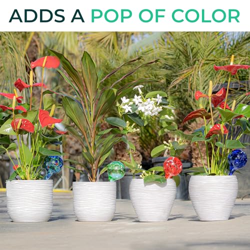 Reifier 6-Pack Plant Watering Globes - Self Watering Bulbs for Indoor & Outdoor Plants - Hand-Blown & Colorful Water Globes - Aqua Globes for Plants - Measures 6" L x 2.5" D - Image 3