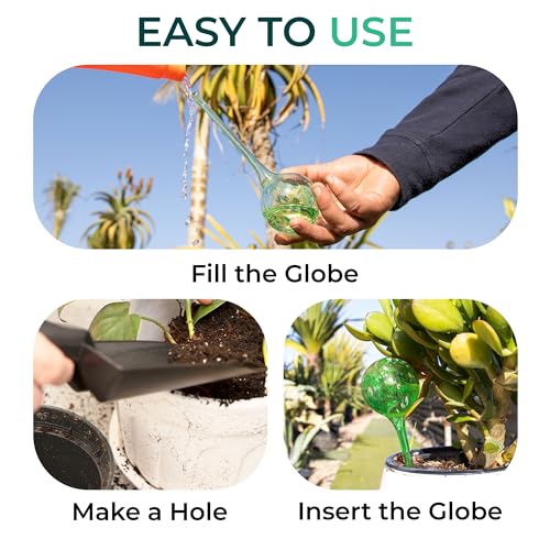 Reifier 6-Pack Plant Watering Globes - Self Watering Bulbs for Indoor & Outdoor Plants - Hand-Blown & Colorful Water Globes - Aqua Globes for Plants - Measures 6" L x 2.5" D - Image 5