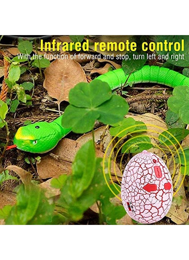 Kiditos Kiditos R/C Snake Toy Rechargeable, Realistic 16 Inches Long Egg-Shaped Infrared Remote Control Toy, Green  - Image 3