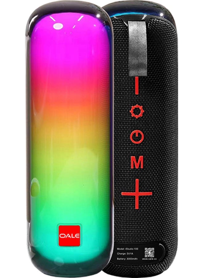 istudio 100 portable bluetooth speaker