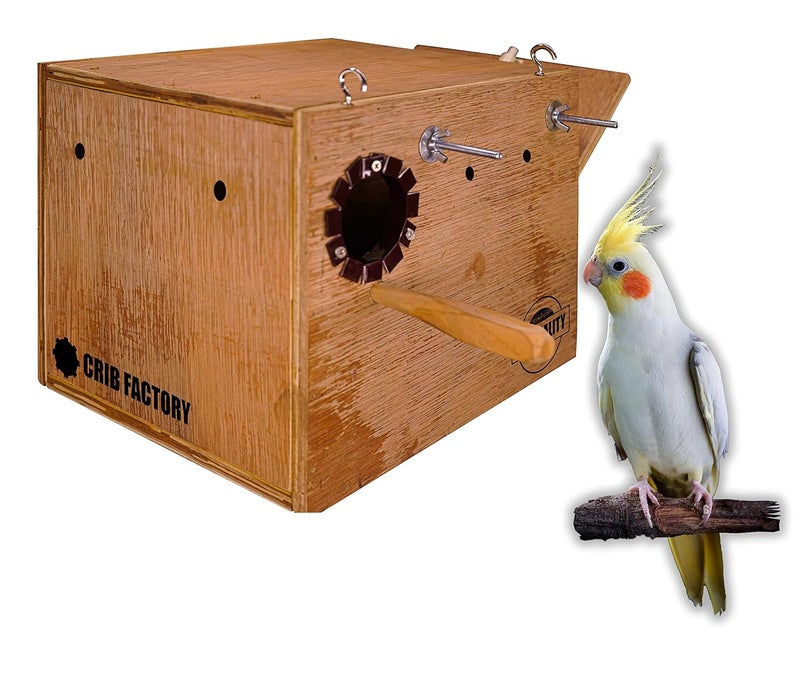CRIB FACTORY Perfect Breeding Box for Cockatiel Birds | HIGH-QULTY Plywood | 12X10X10 INCH | Designed for Cockatiel with one Tray (Without Tray) - Image 1