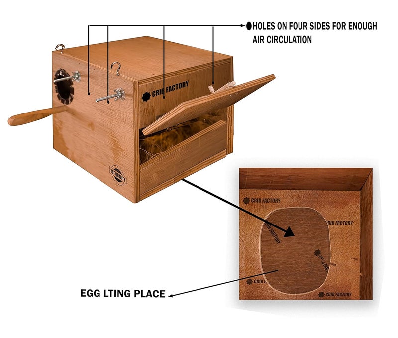 CRIB FACTORY Perfect Breeding Box for Cockatiel Birds | HIGH-QULTY Plywood | 12X10X10 INCH | Designed for Cockatiel with one Tray (Without Tray) - Image 3