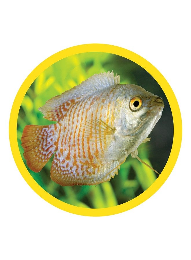 مارين لاند مارينلاند بامبو، 3 أقدام، ديكور لأحواض السمك والأحواض الزجاجية، موديل: 47431905481 - Image 5