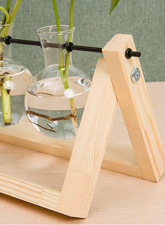 Hydroponic plant Tabletop tall Glass Vase Beige/Clear  - Image 3