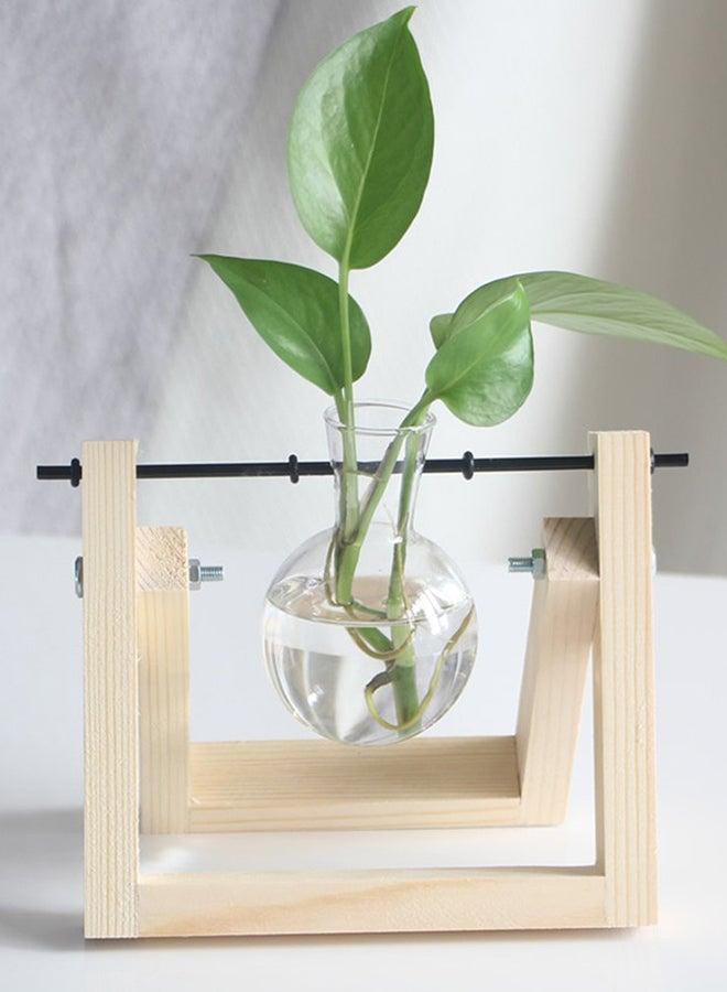 Hydroponic plant Tabletop tall Glass Vase Beige/Clear  - Image 1