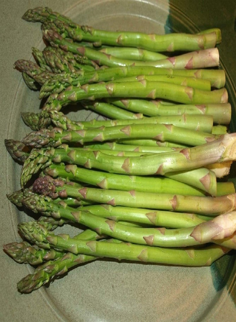 GGOOT Asparagus Jersey Gem (Green) 25 Non-GMO, Hybrid Seeds - Image 1