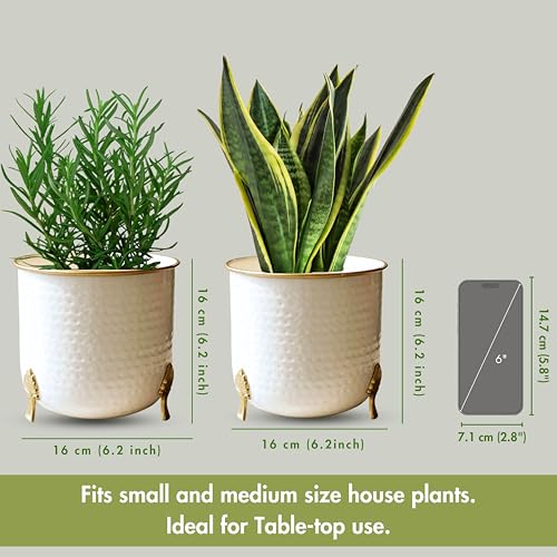 BEHOMA Metal Hammered White Planter with Golden Trim for Home Decor | Pot for Indoor Outdoor Balcony Living Room | Table Plant Pot for Gifting | Size H-6" x Dia.6 inch, Set of 2 (Plant not Included) - Image 4