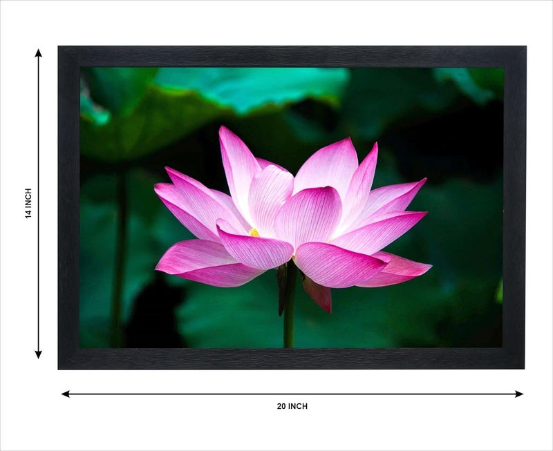 Chitransh Lotus Flower Wall Mounted Painting 14 20 Inches CHI_GIF_00487 - Image 2