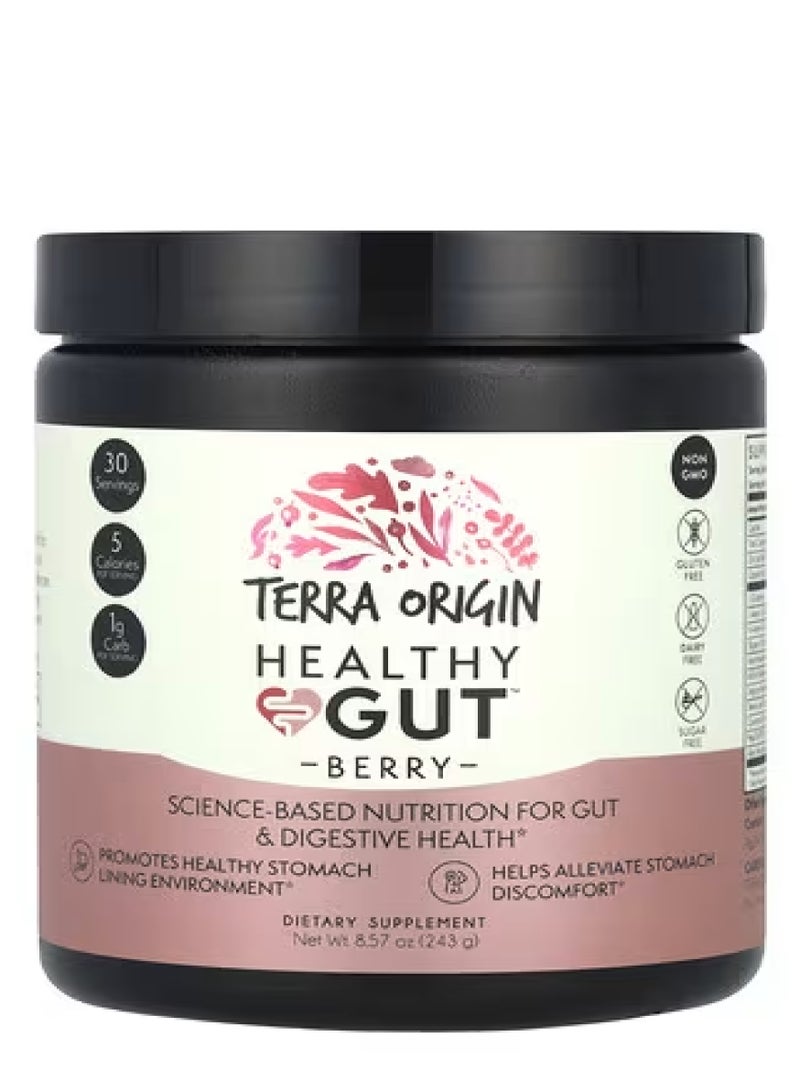 Terra Origin Healthy Gut™, Berry, 8.57 oz (243 g)