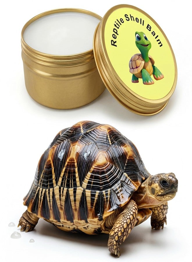 KR. LIF 2.6 Oz Tortoise Shell Balm for Sulcata, Russian & Hermann - Shell Conditioner for Dry, Dull & Cracked Scutes - Reptile Shell Wax Care - Image 4