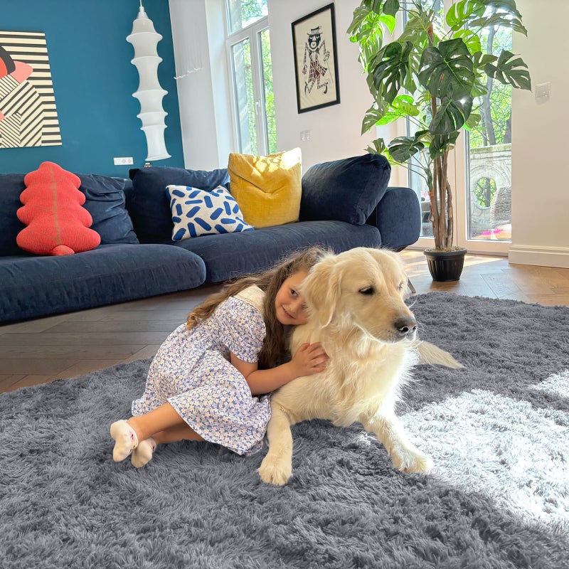 Olanly 5X7 Machine Washable Large Area Rugs For Living Room  Bedroom  Soft Fluffy Shaggy Bedside Rug  Indoor Floor Carpet For Kids Girls And Boys  Dorms  Nursery  Home Decor Aesthetic  Light Grey - Image 5
