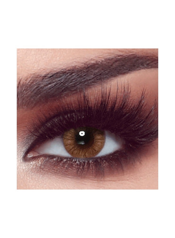 BELLA ONE DAY 10PC RADIANT HAZELNUT PLANO CONTACT LENS