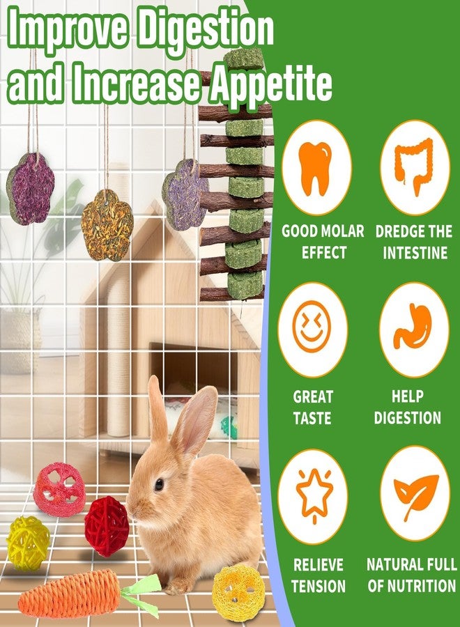WDEFUN 21PCS Rabbit Chew Toys for Teeth Grinding, Natural Timothy Hay Cakes Treats for Bunny, Organic Apple Wood Sticks Toy Set for Guinea Pigs, Hamsters, Chinchillas,Dental Health & Boredom Relief - Image 5