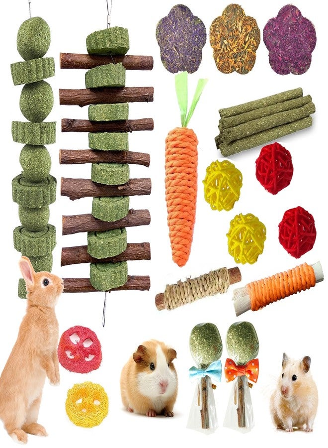 WDEFUN 21PCS Rabbit Chew Toys for Teeth Grinding, Natural Timothy Hay Cakes Treats for Bunny, Organic Apple Wood Sticks Toy Set for Guinea Pigs, Hamsters, Chinchillas,Dental Health & Boredom Relief - Image 1