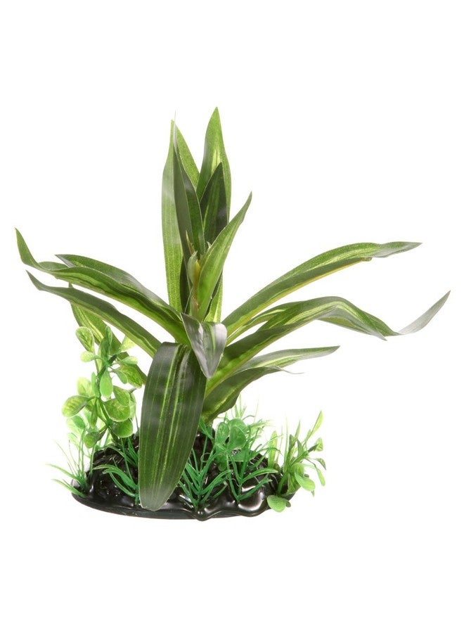 Fluval Giant Sagittaria Plant - Image 1