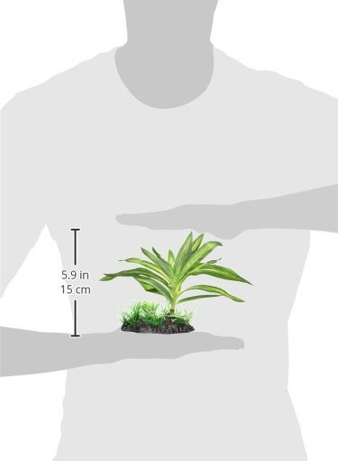 Fluval Giant Sagittaria Plant - Image 2