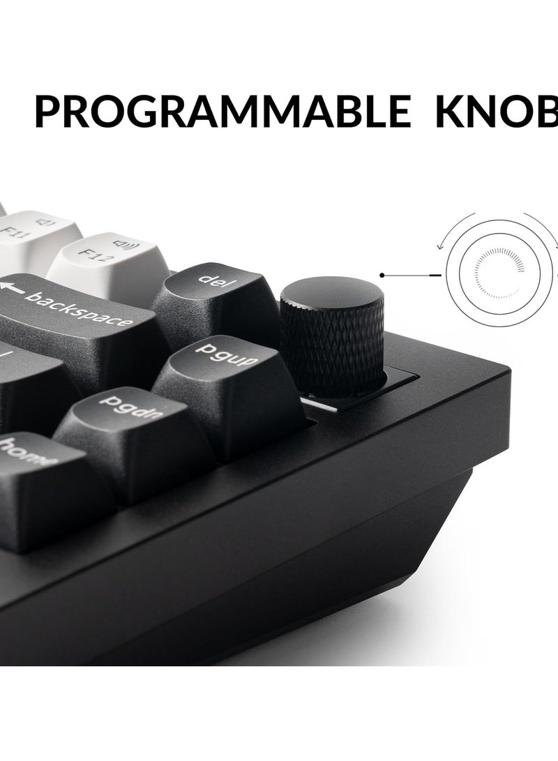 Keychron Q1 HE Swappable RGB Backlight Nebula Switch Knob Version Keyboard- Black - Image 3