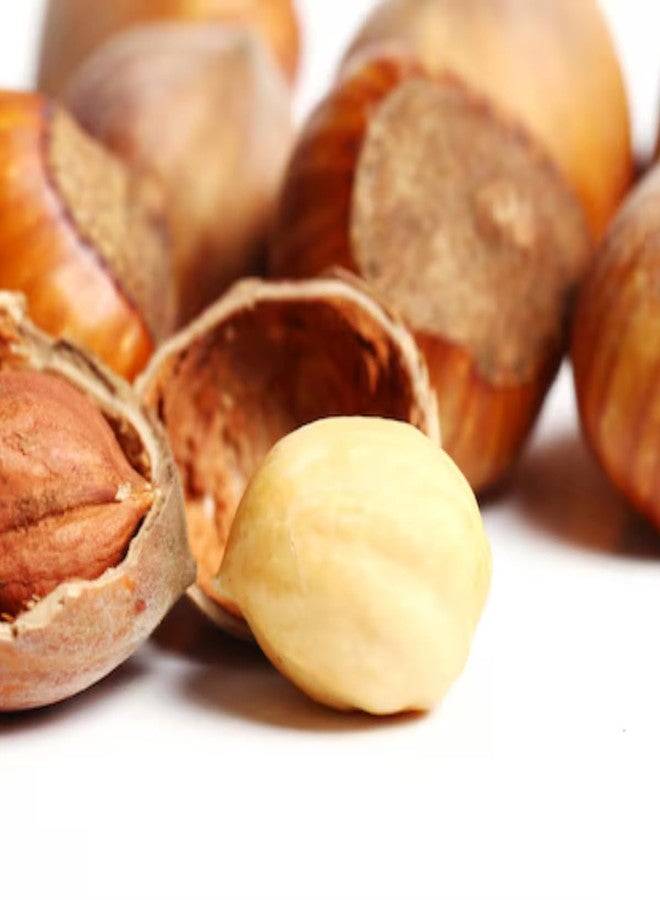 cartup Froods Turkish Whole Hazelnuts, Healthy & Crunchy Dry Fruits for Snacking, High Protein Nuts for Weight Management, Ideal for Baking, Cooking & Desserts - Premium Jumbo Hazelnuts - 250G - Image 3