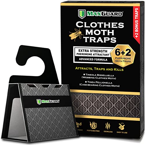 MaxGuard Clothes Moth Traps (6+2 Free Traps) with Extra Strength Pheromones | Non-Toxic Sticky Glue Trap for Closets and Carpet Moths | No Mothballs | Lure, Trap and Kill Case-Bearing Webbing Moths | - Image 1